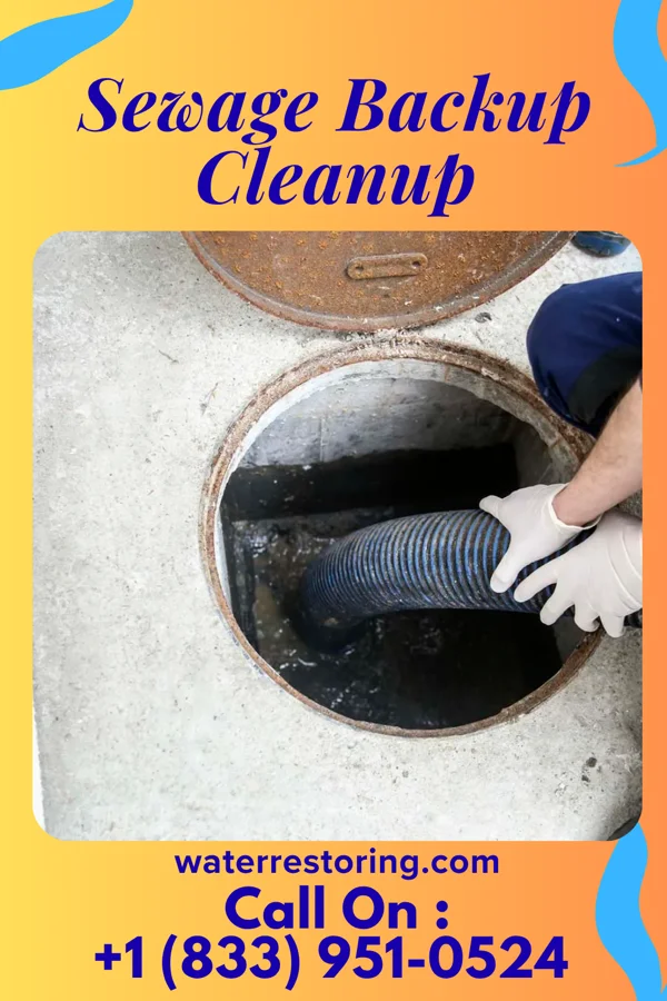 Sewage Backup Cleanup in El Reno, OK