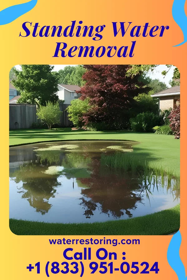 Standing Water Removal in El Reno, OK